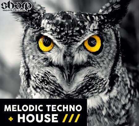 SHARP Melodic Techno and House WAV MiDi